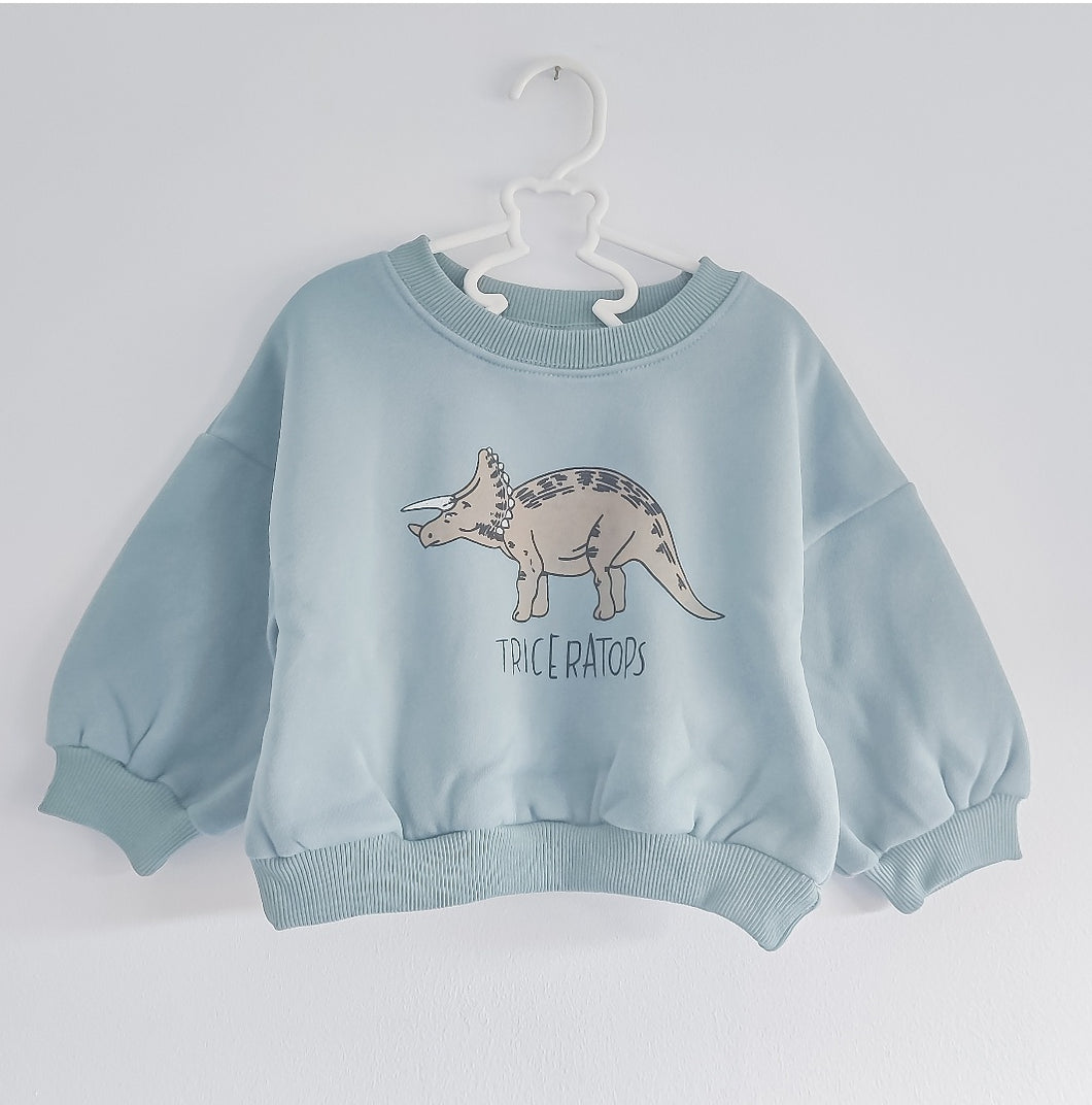 Slouchy Dino Sweat in Green/Blue